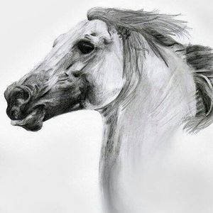 Meet your Posher, Jaynie